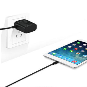 Travel Charger With Lightning Connector